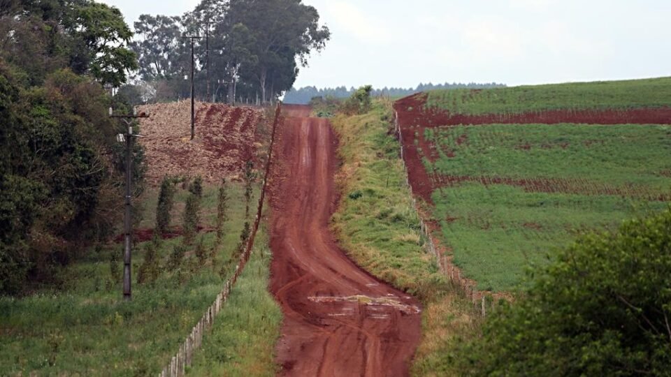 Impacto das Estradas Rurais na Economia do Agronegócio
