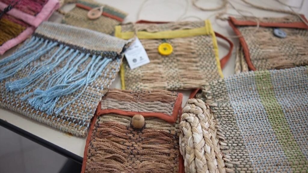 Sustentabilidade e Inovação: A Fibra da Bananeira em SC