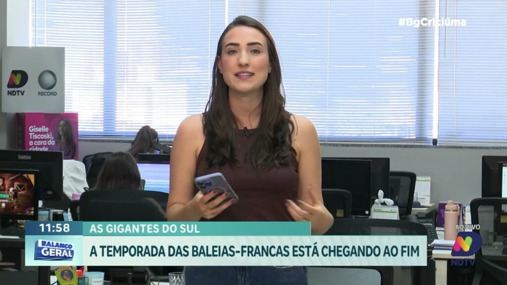 A Temporada das Baleias-Francas e Seu Impacto Imobiliário