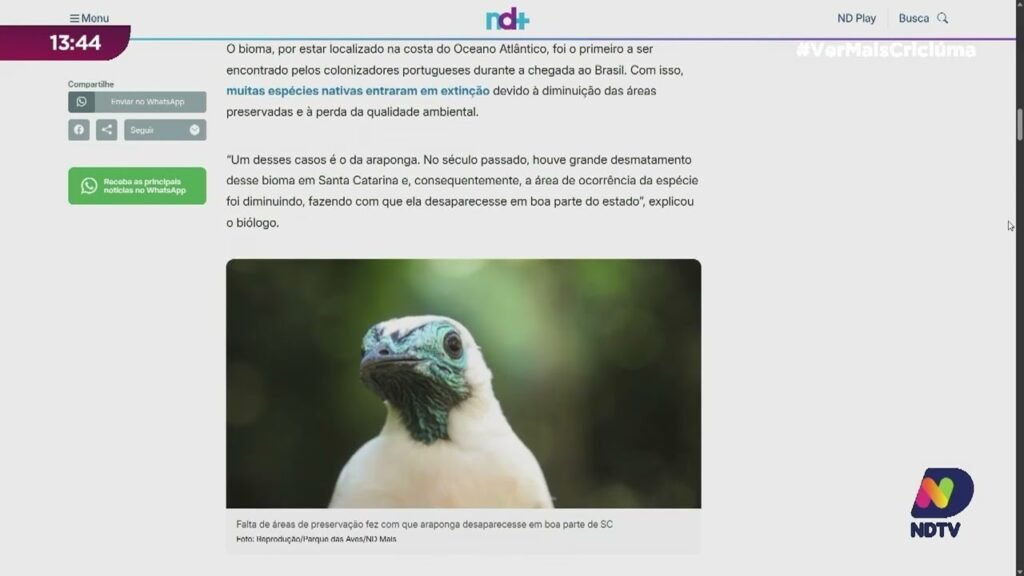 Destaques e Oportunidades em Santa Catarina para Investidores