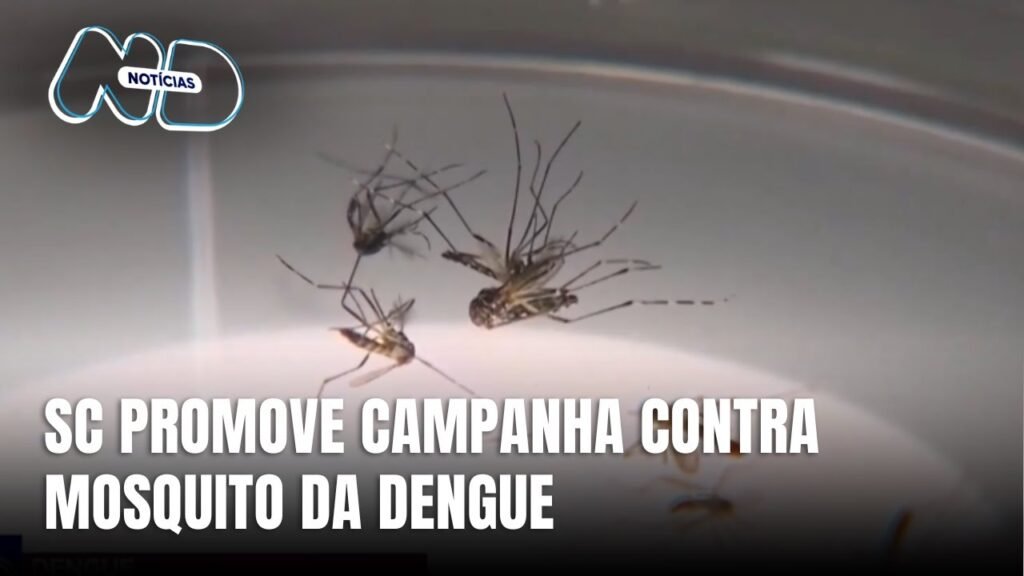 Santa Catarina Intensifica Ações Contra a Dengue em 2023
