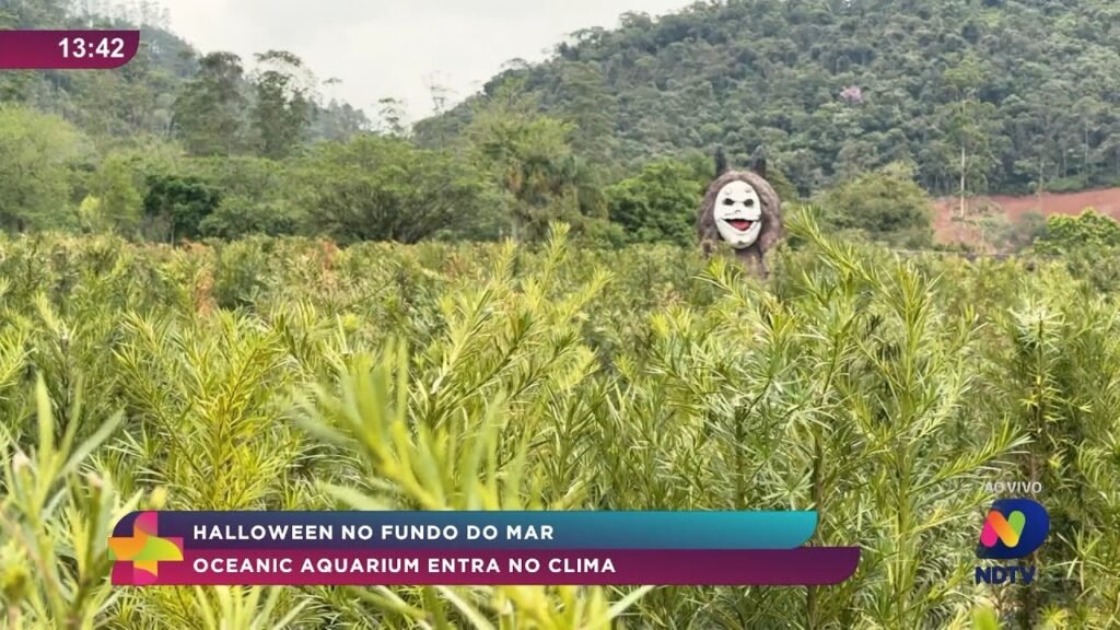 Atrações culturais em SC: Halloween, shows e feiras