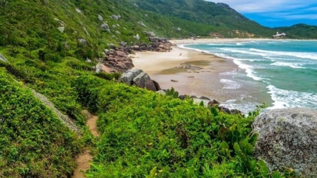 Impactos da Redução nas Áreas de Preservação em SC