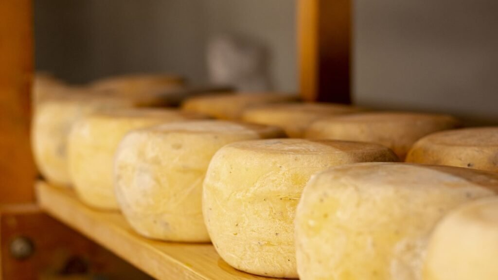 Queijos Artesanais de Santa Catarina: Uma Experiência Única