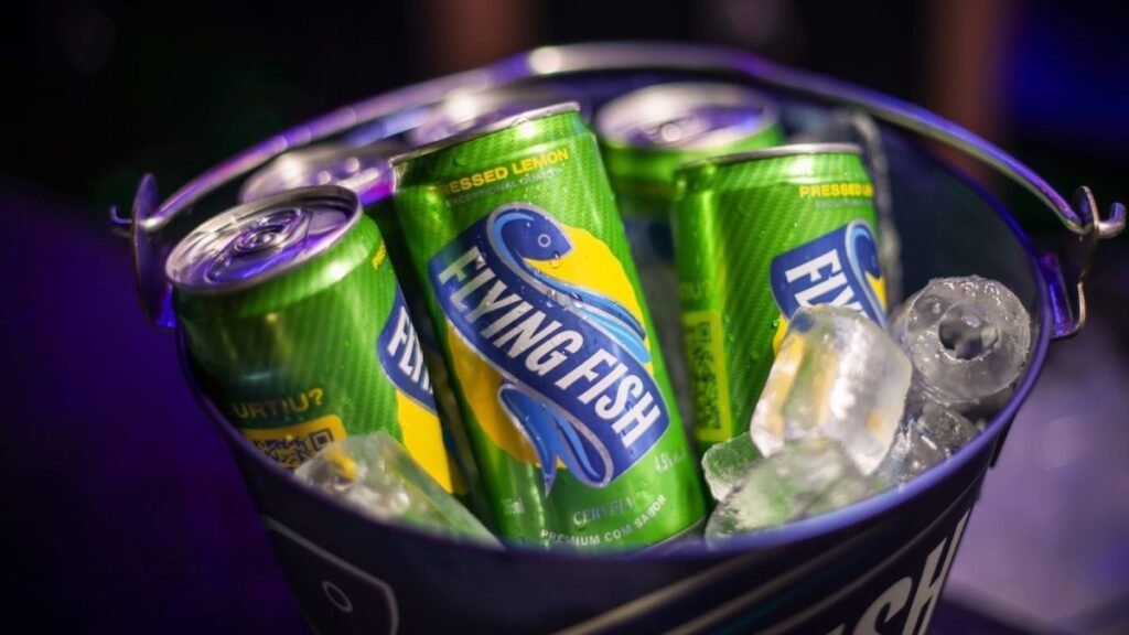 Flying Fish: A Nova Onda de Inovação da Ambev no Sul