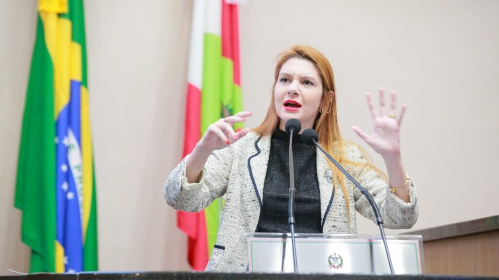 Divergências no PL: O que isso significa para o futuro político?