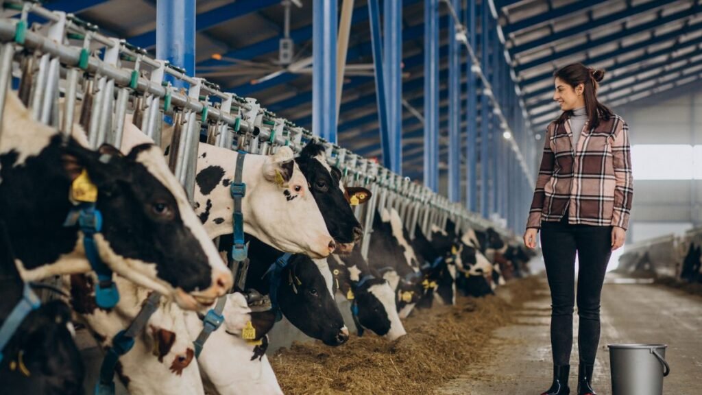 A Nova Geração na Pecuária Leiteira de Santa Catarina