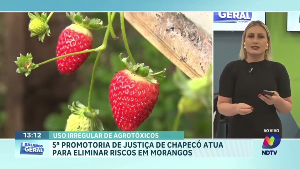 Investigação sobre agrotóxicos em morangos em SC