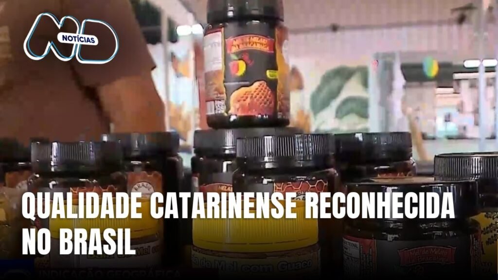 Valorização de Imóveis em Santa Catarina: Oportunidades e Tendências
