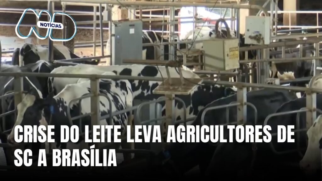 A Crise do Setor Leiteiro em SC e Seus Impactos