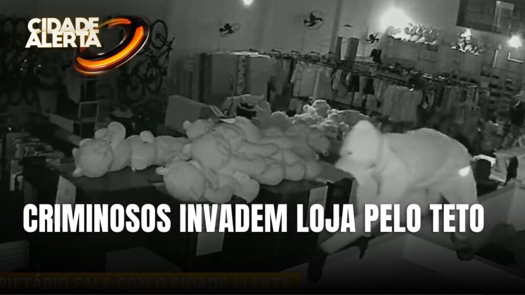 Segurança em Imóveis: O Caso da Loja em Balneário Camboriú