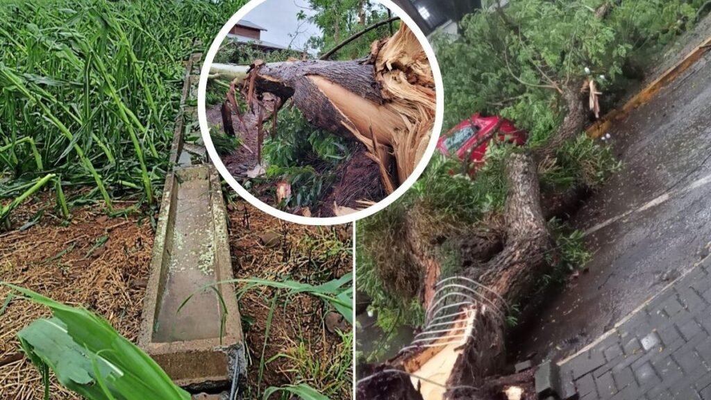 Impactos do Ciclone no Oeste de Santa Catarina e o Mercado Imobiliário