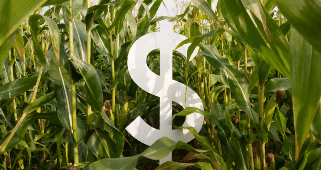 Alta do Fundo Imobiliário BTRA11: Oportunidade para Investidores