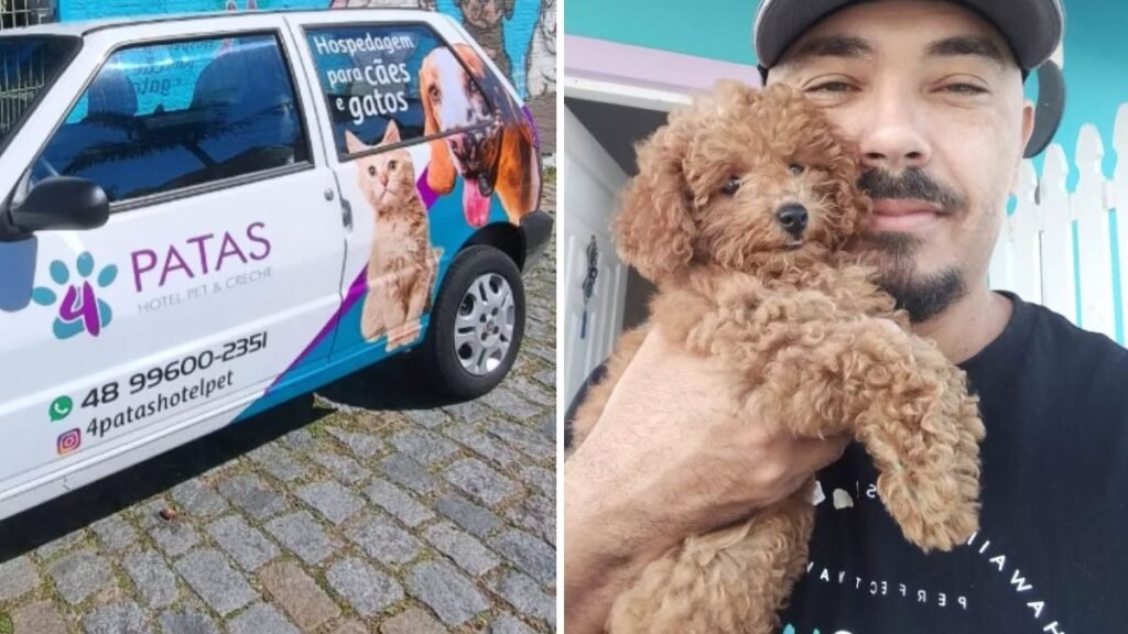 Inovação no Transporte de Animais: Conheça o Táxi Dog