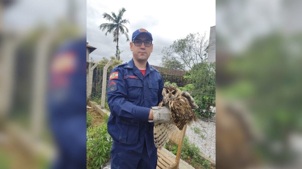 Resgate de Coruja em SC: A Importância da Proteção Animal