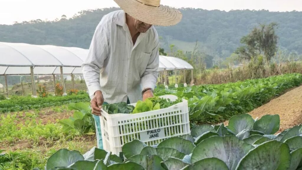 Mudanças nas Regras de Imóveis Rurais: O Que Esperar?