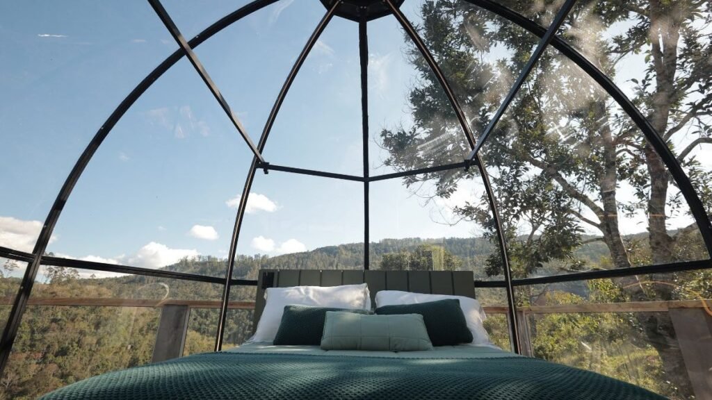 Experiência Única: A Cabana Bolha em SC para Investidores