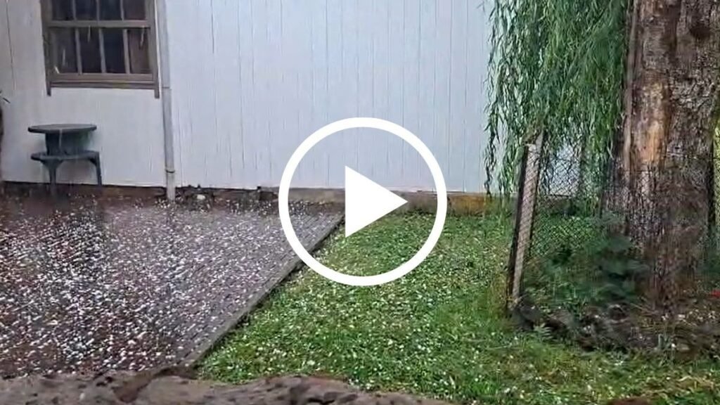 Impactos do Granizo na Serra de Santa Catarina para Imóveis