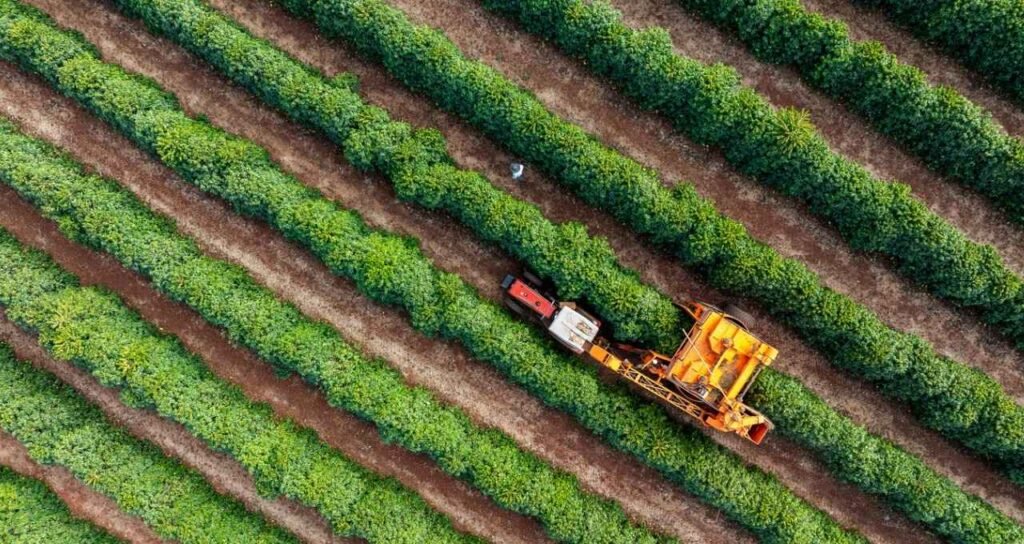 BTG Pactual Adquire Fazendas na Bahia por R$ 48 Milhões