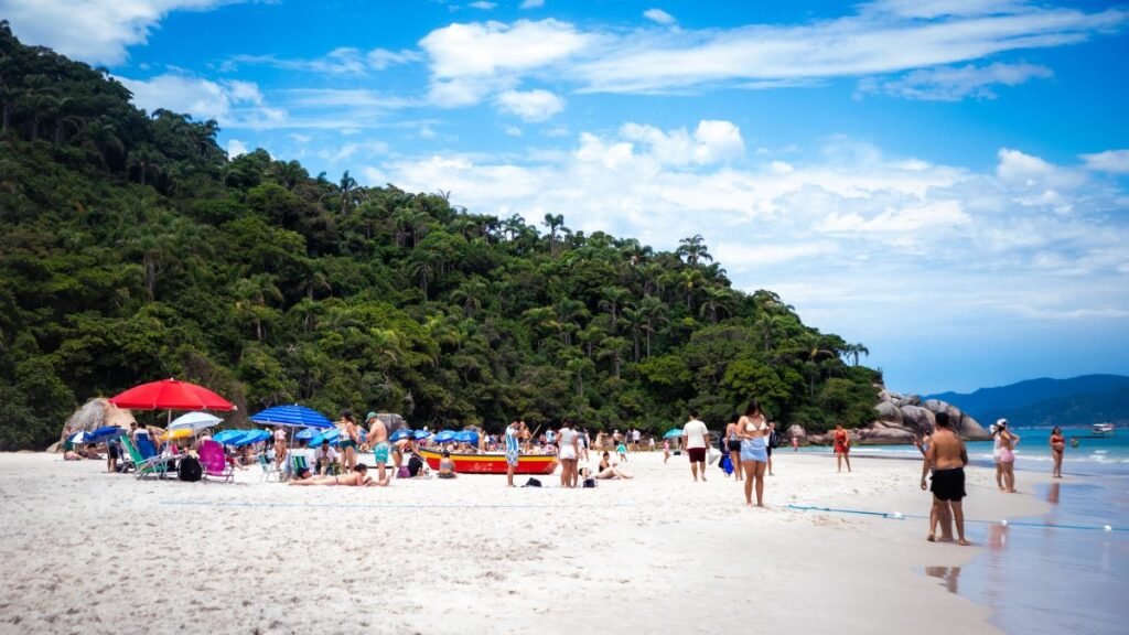 Verão em Santa Catarina: 76% das Praias Prontas para Banho