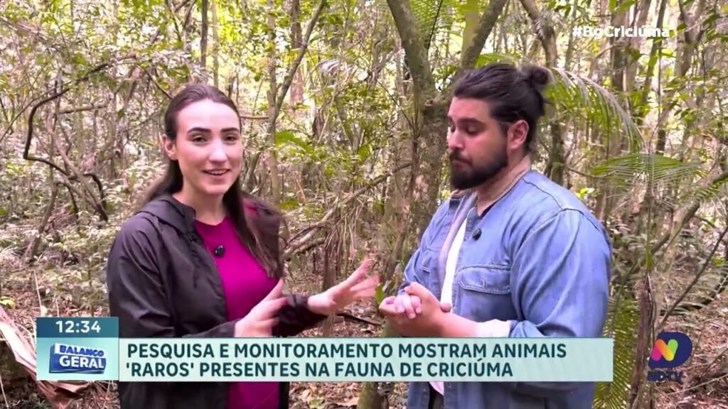 A Importância da Preservação Ambiental em Santa Catarina