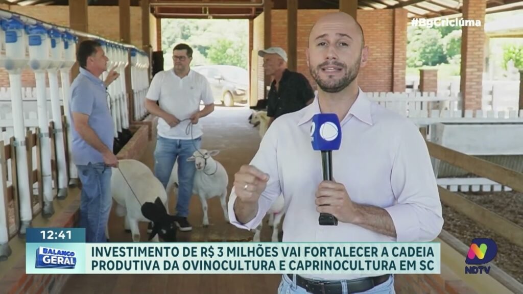 Investimento em Ovinocultura: Oportunidades em SC