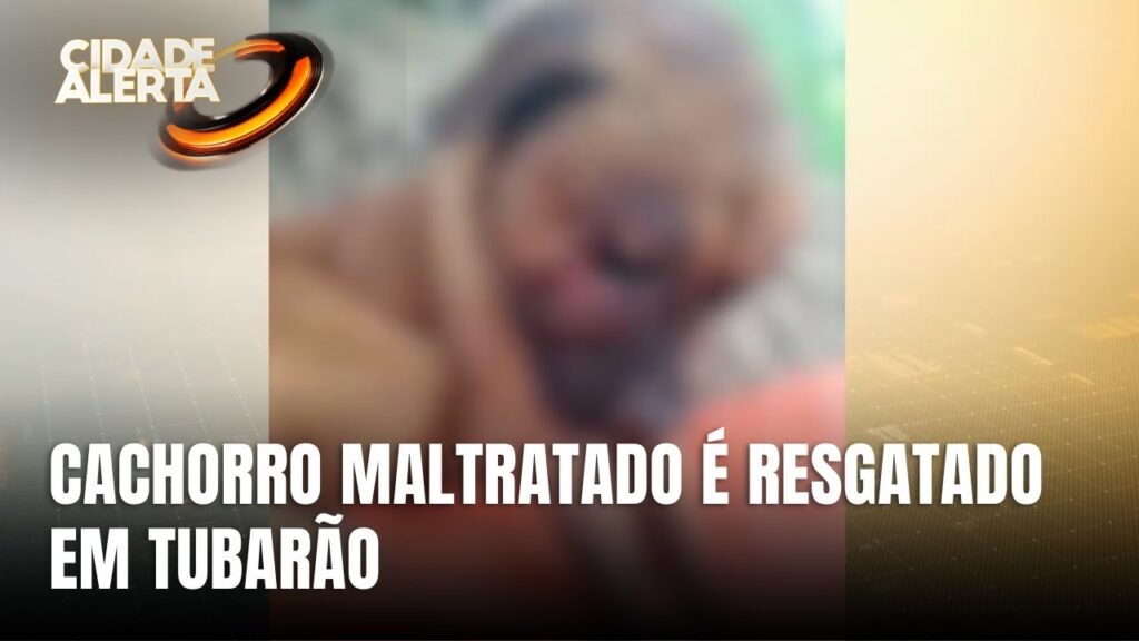 Resgate de animal em Tubarão: um chamado à ação