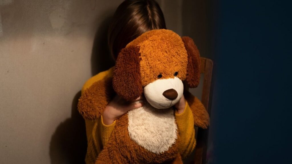 A Importância da Proteção Infantil em Santa Catarina