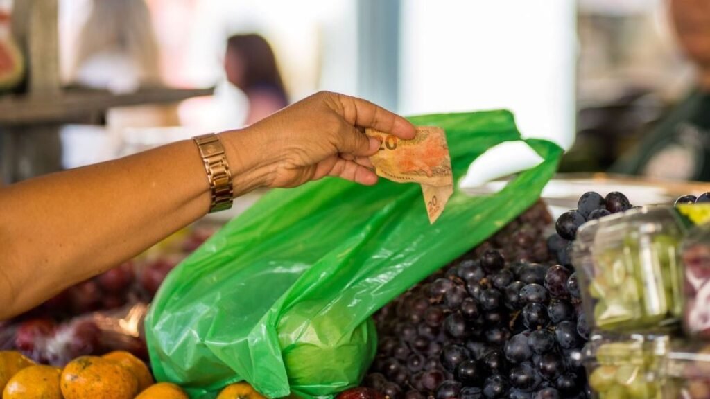 Santa Catarina: Um Estado em Crescimento e Estabilidade Econômica