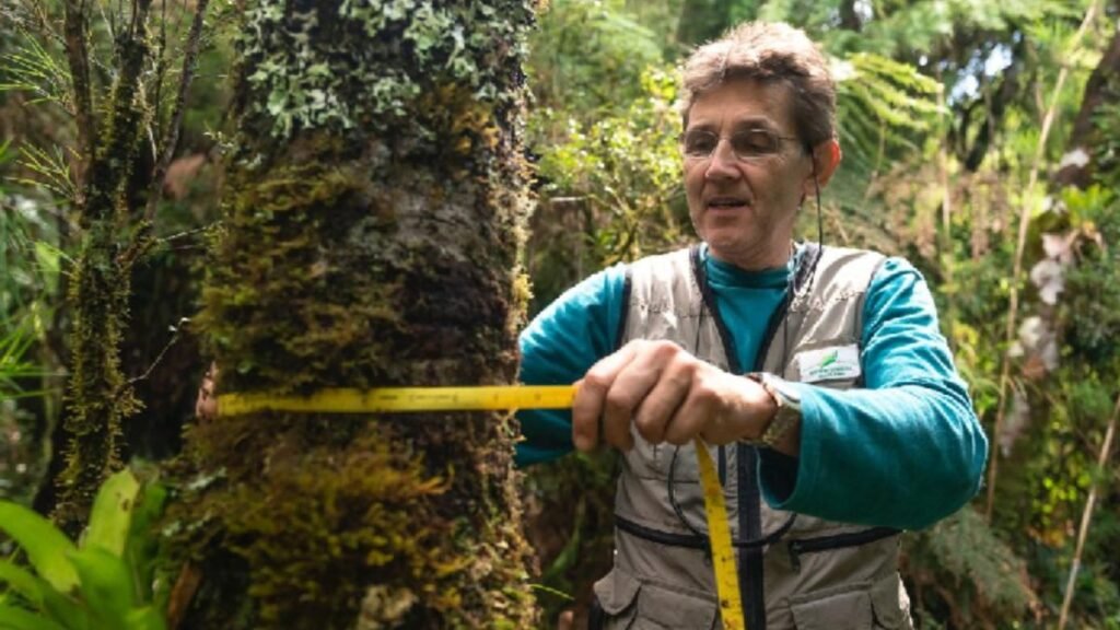 Pesquisador Brasileiro no Ranking de Cientistas Influentes