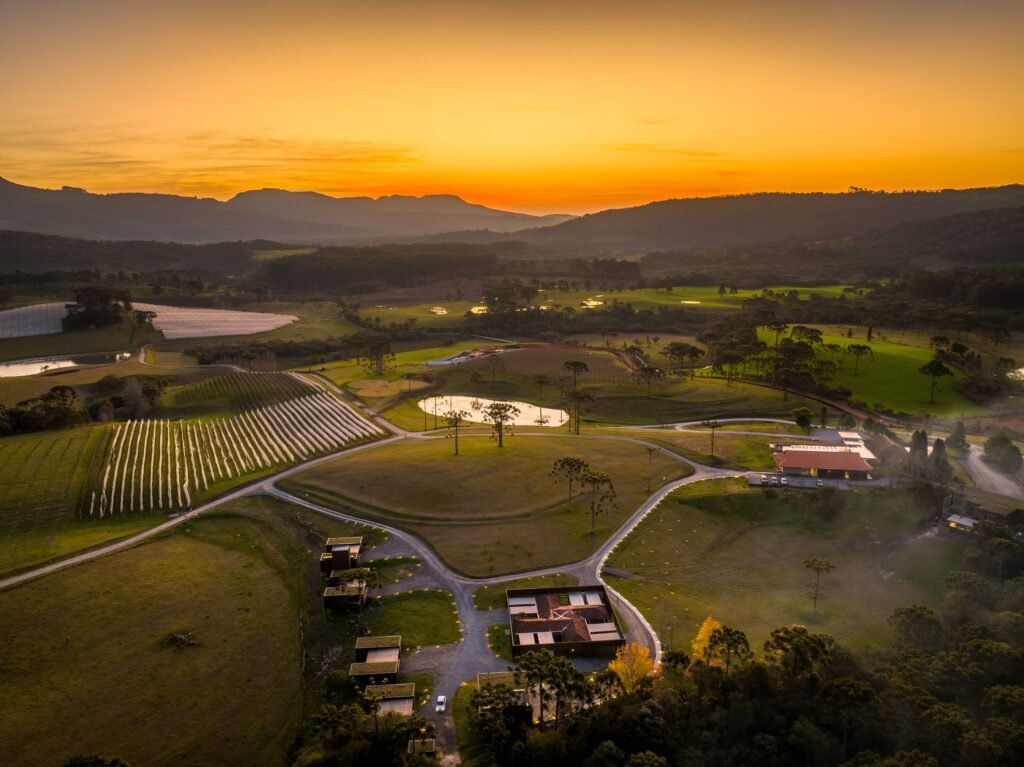 Enoturismo em Santa Catarina: Oportunidades de Investimento Imobiliário